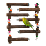 12-Inch Natural Neem Wood Bird Perch – WP02