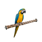 3–5 CM Thick Natural Neem Wood Bird Perch – WP05