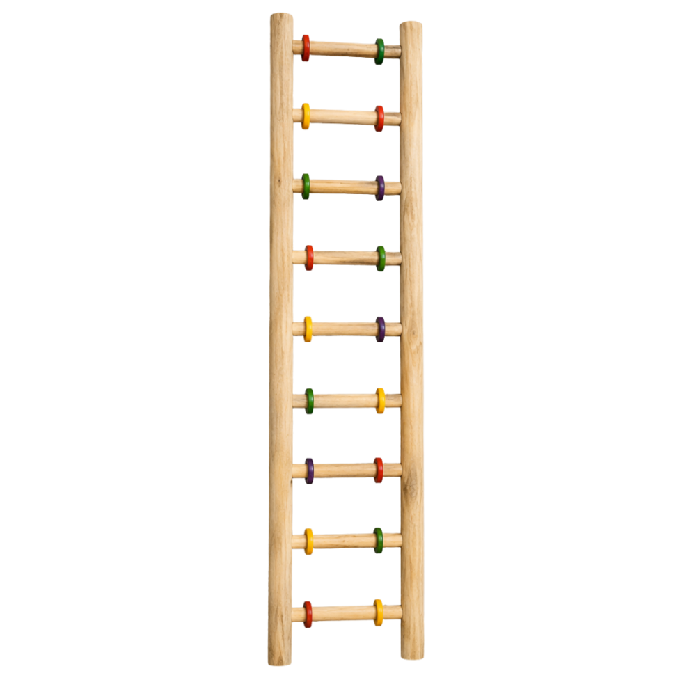 Shop Secondary Image