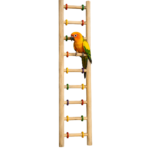 3 Ft Pine Wood Bird Climbing Ladder – WL12