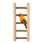 3 Ft Heavy Neem Wood Bird Ladder with Natural Steps – WL14
