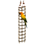 8 Ft Extra Long Dotted Neem Wood Bird Ladder with Jute Rope – WL16
